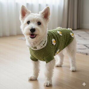 NEW Boho Sage Green Daisy Knit Dog Sweater - Size Large